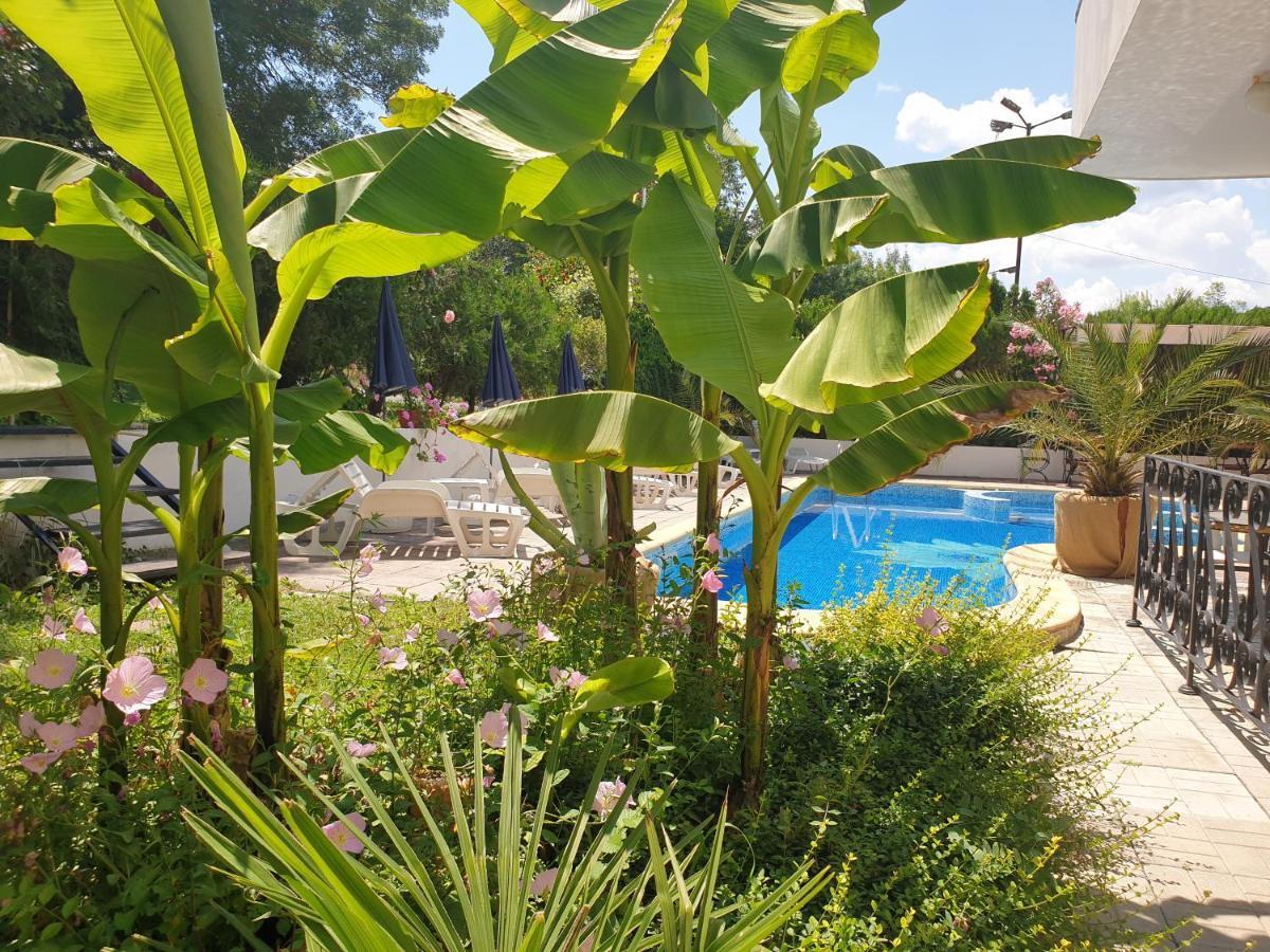 Hotel Feniks Lozenets Dış mekan fotoğraf